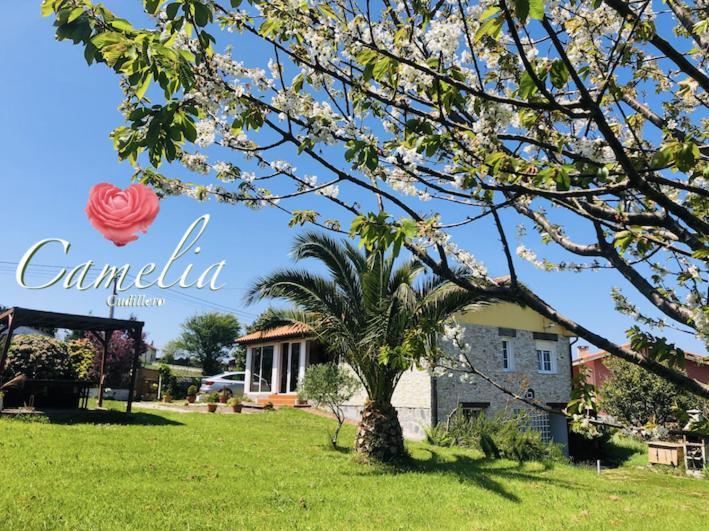 Camelia Casina Rural Villa Albuerne Buitenkant foto